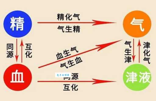 同气是什么意思?详解同气关系的多种含义