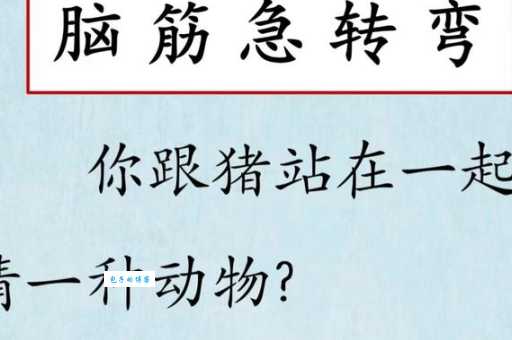 脑筋急转弯:故态复萌,猜一种动物!