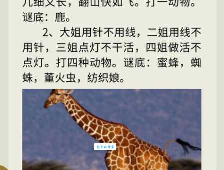 脑筋急转弯:故态复萌,猜一种动物!