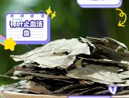 sorprendente功效！柿子叶的用途你了解多少？