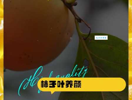 sorprendente功效！柿子叶的用途你了解多少？