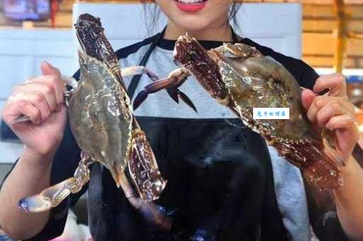 到底什么是田园女和螃蟹女?带你了解网络流行语