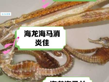水马这个名字是怎么来的?它的真正含义是什么?