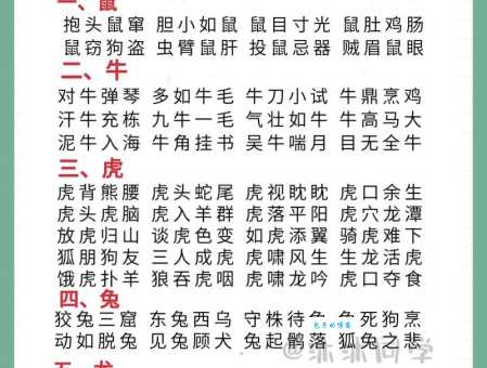 鼠肚鸡肠指的是什么生肖?不同说法大揭秘