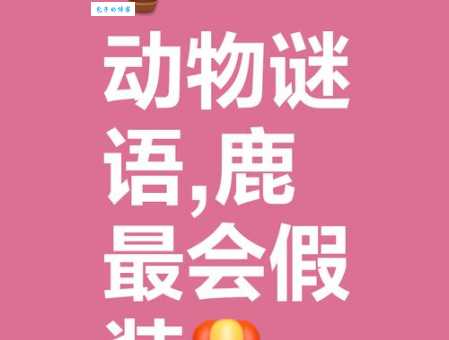 身份不明打一动物,答案让你意想不到!