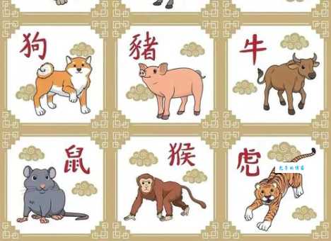 颠倒阴阳，指的是哪种动物？答案让你意想不到！