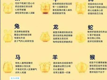 脑筋急转弯：两全其美代表的生肖是什么？