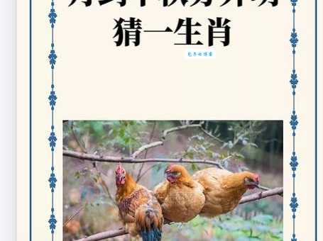 谜语：眉眼传情，打一动物，答案是什么生肖？