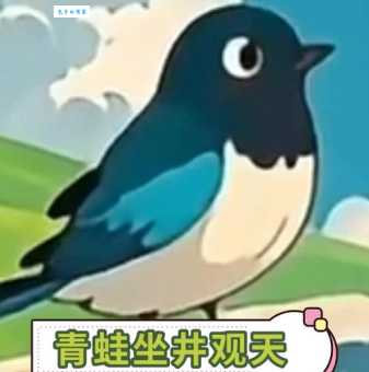 坐井观天最佳动物大揭秘，看看是不是你猜的那个！