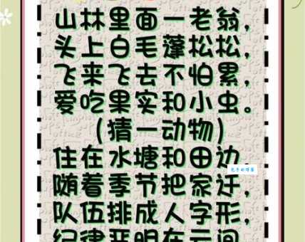 龙血玄黄是哪个生肖？揭秘这道趣味谜题的答案