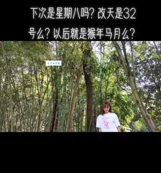 猴年马月是什么生肖?不同说法及背后故事