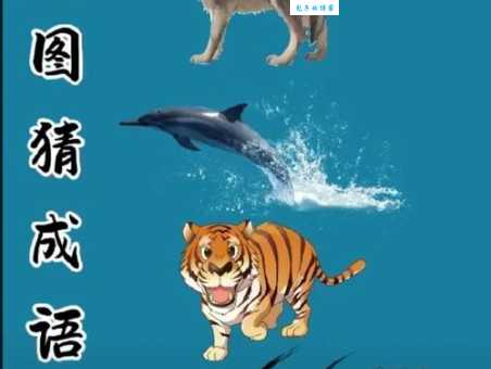 猜一动物：四海为家，答案是它！