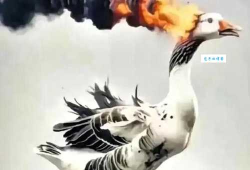 乌烟瘴气用来形容什么动物?动物界的“脏乱差”代表