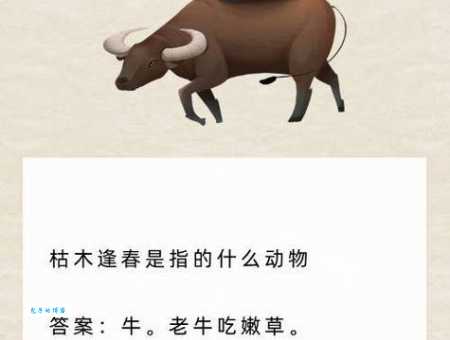 心慌意乱六神无主,代表什么动物生肖?