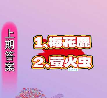 答案太意外！手忙脚乱打一动物是哪个？