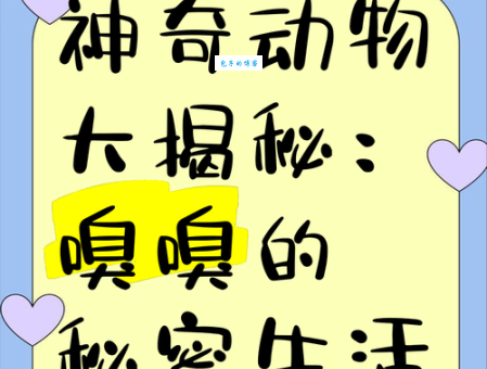这些动物自带“异香异气”?揭秘它们独特的体味来源