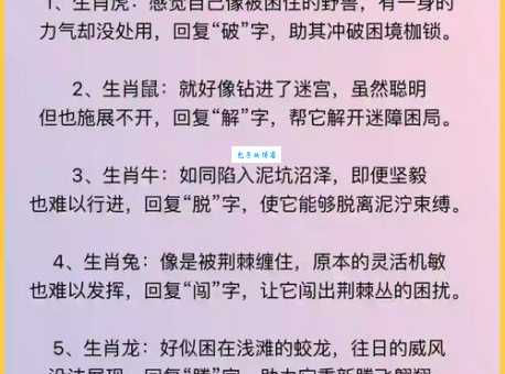 静观其变打一动物,揭秘最佳生肖及其寓意