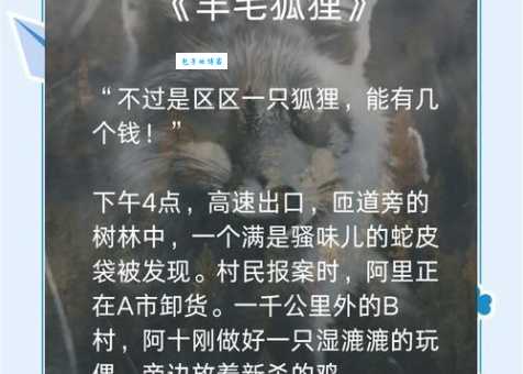 丹顶曲项打一动物:揭秘答案及文化象征