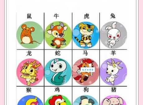 囫囵吞枣代表的生肖是什么？速来解答！