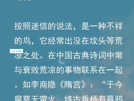 乌烟瘴气打一动物是什么?答案让你意想不到!
