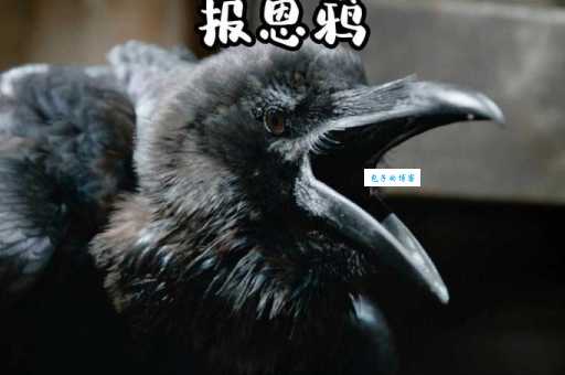 乌烟瘴气打一动物是什么?答案让你意想不到!