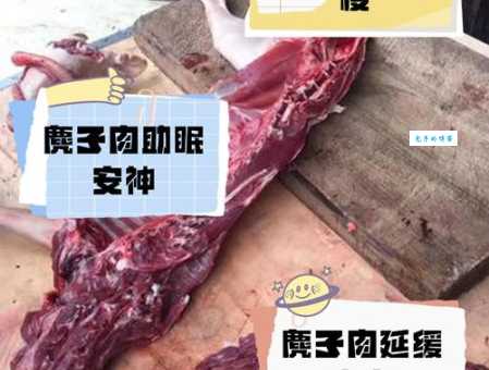 有功之臣指的是哪种动物?古代传说中的功臣是啥?