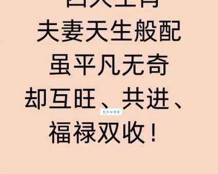 四目相对代表什么生肖?答案可能让你意想不到