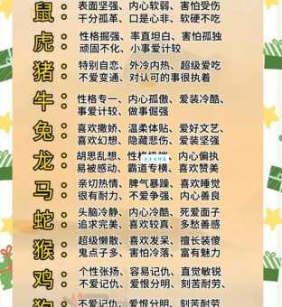 四目相对代表什么生肖?答案可能让你意想不到