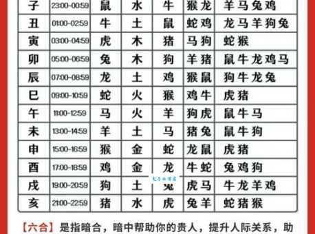 十二生肖天肖分别是什么动物?快速了解天肖