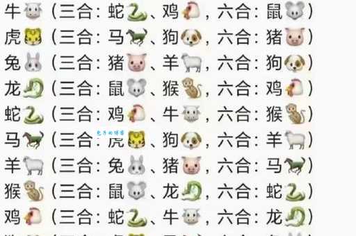 十二生肖天肖分别是什么动物?快速了解天肖