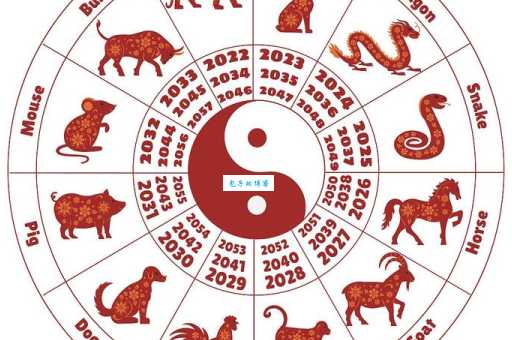 “受夹板罪”指的是十二生肖中的哪个?