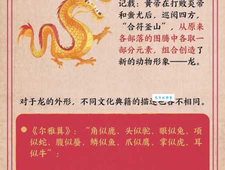 龙行天下是什么意思?带你了解其文化内涵