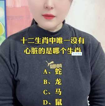 无声无息是什么生肖动物?多种答案分析详解