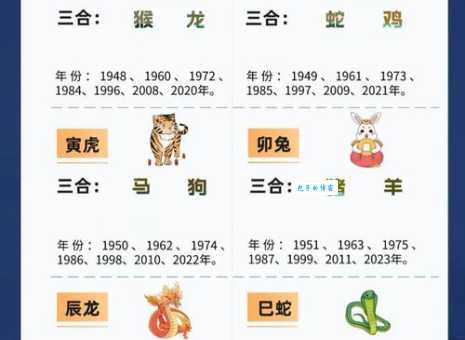 详解二三无处不倾国,十二生肖中指哪些动物?