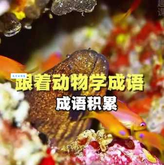 急中生智最正确的动物是哪种？看完你就知道！