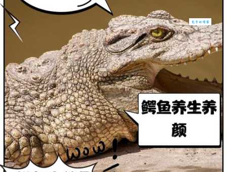 认识鳄鱼:它是爬行动物还是鱼类?深度解析鳄鱼知识