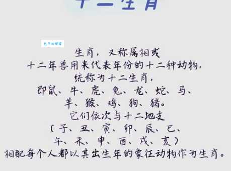 浮光掠影指的是哪个生肖?揭秘生肖背后的含义