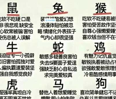 浮光掠影指的是哪个生肖?揭秘生肖背后的含义