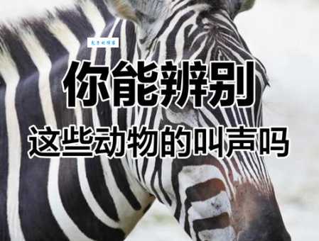 你能猜出“野性难驯”指的是哪种动物吗?