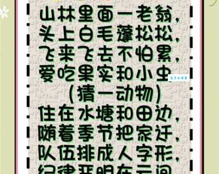 谈笑风生打一准确生肖:你猜对了吗?答案就在这里!