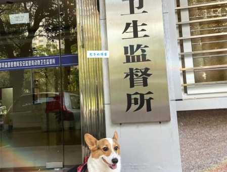 河南动物卫生监督网在线服务:方便快捷的信息平台