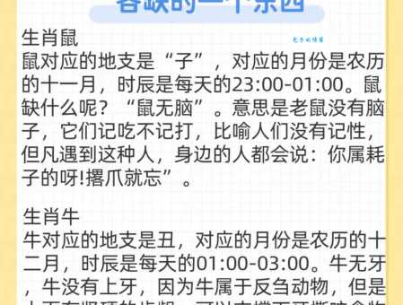 千夫所指指的是什么动物?详解生肖与动物的对应关系