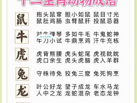 饱其私囊代表什么动物?揭秘隐藏在成语背后的生肖秘密!