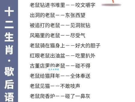 官大权大肚子大,这句歇后语说的是什么生肖?