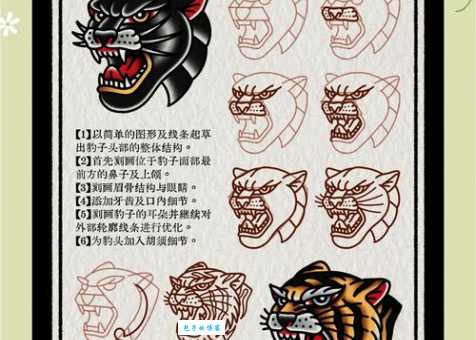 勇猛冲锋陷阵的动物是谁？快来测试你的知识！