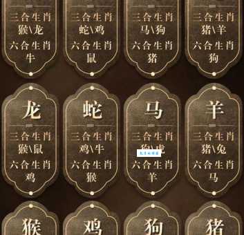 揭秘夜肖：这六个生肖在夜晚最活跃