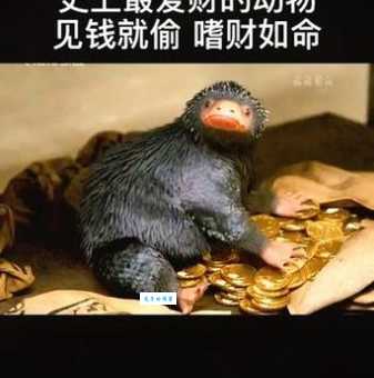 揭秘:欲钱买呆头呆脑的动物,原来是它!