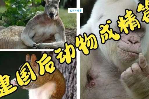 “粉面含春”打一动物,你猜对了吗?