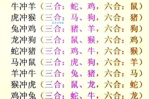 水火不容是哪个生肖?揭秘生肖相克的秘密