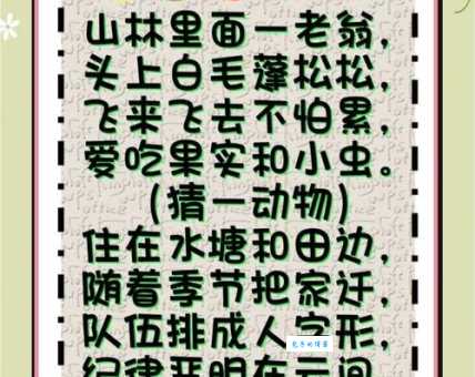 灭顶之灾代表什么动物？趣味生肖谜语大揭秘